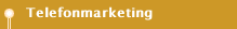 Telefonmarketing